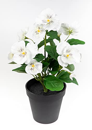 Stiefmütterchen 30cm im Topf FT Kunstpflanzen künstliche Veilchen Blumen Kunstblumen (Weiss) von Seidenblumen Roß