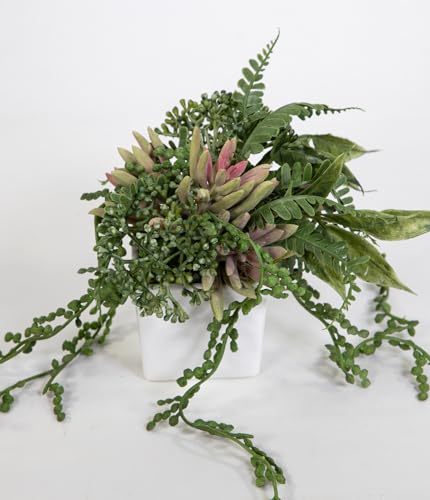 Sukkulenten Mix im weißen Keramiktopf 12x14cm GA Kunstpflanzen künstliche Pflanzen von Seidenblumen Roß