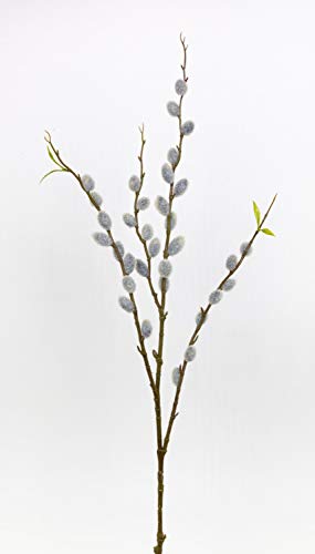 Weidenkätzchenzweig Nature 80cm FT künstliche Weidenkätzchen Salix künstlicher AST Palmkätzchen von Seidenblumen Roß