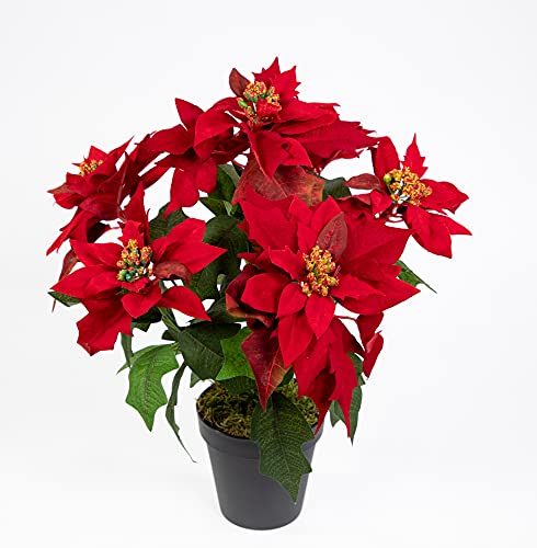 Seidenblumen Roß Weihnachtsstern Nature 38cm samt-rot im Topf PM künstliche Blume Kunstpflanze Kunstblumen Poinsettie von Seidenblumen Roß