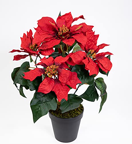 Weihnachtsstern im Topf 36cm rot PF künstliche Poinsettie Blume Pflanze Kunstblumen Kunstblumen von Seidenblumen Roß