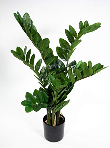 Seidenblumen Roß Zamioculcas Zamiifolia/Glücksfeder 72cm GA Kunstpflanzen künstliche Pflanzen Zamii von Seidenblumen Roß