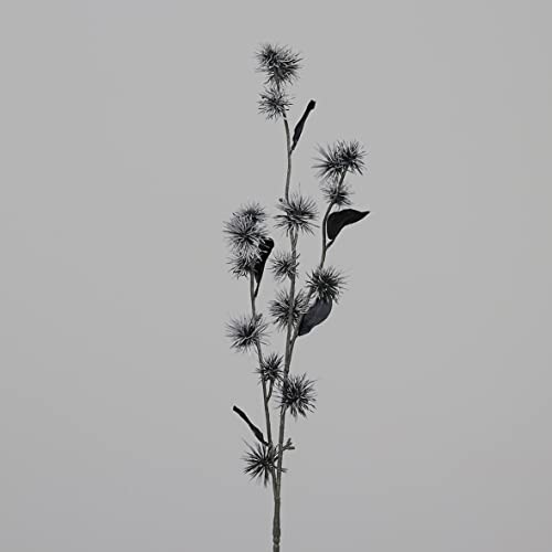 Seidenblumen Roß Zaubernuszweig/Hamamelis 100cm anthrazit-schwaz DP Kunstblumen künstliche Blumen Zaubernuss von Seidenblumen Roß