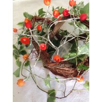 Lichterkette Mit Gefärbten Seidenkokons "Orange" von Seidenspinnerei
