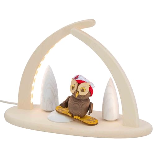 Seiffener Volkskunst | Fensterbeleuchtung Weihnachtsbeleuchtung | LED Spitzbogen Weihnachtsbogen Schwibbogen Lichterbogen | Weihnachtsdeko aus dem Erzgebirge | 29x21 cm | Eule mit Snowboard von Seiffener Volkskunst