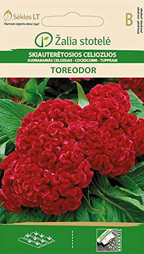 Seklos LT | CELOSIEN TOREADOR | Einjährig Pflanze | Blumensamen | Die Blüten haben leuchtende Farben und sind in Form eines märchenhaften Kamms | Pflanzensamen | 1 Pack von Seklos LT