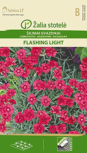 Seklos LT | HEIDENELKE FLASHING LIGHT | Mehrjähri Pflanze | Blumensamen | Pflegeleicht Pflanze | Für Topf, Alpinum, Grab | Pflanzensamen | 1 Pack von Seklos LT