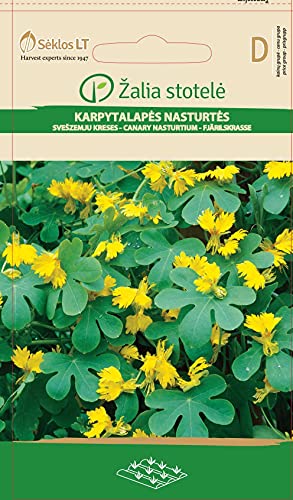 Seklos LT | KAPUZINERKRESSE | Einjährig Blumen | Blumensamen | Üppige Blütezeit ab Ende Juni bis zum späten Herbs | Pflanzensamen | 1 Pack von Seklos LT