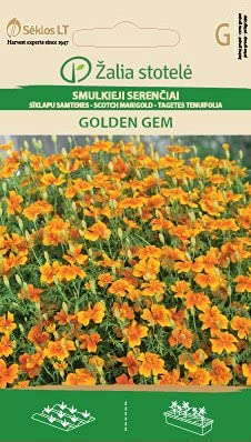 Seklos LT | KLEINBLÜTIGE TAGETES GOLDEN GEM | Einjährig Pflanze | Blumensamen | Üppige Blüten | Pflanzensamen | 1 Pack von Seklos LT
