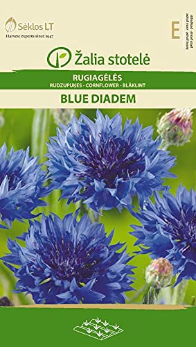 Seklos LT | KORNBLUME BLUE DIADEM | Einjährig Pflanze | Blumensamen | Pflegeleichte und sehr beliebte Pflanze | Pflanzensamen | 1 Pack von Seklos LT