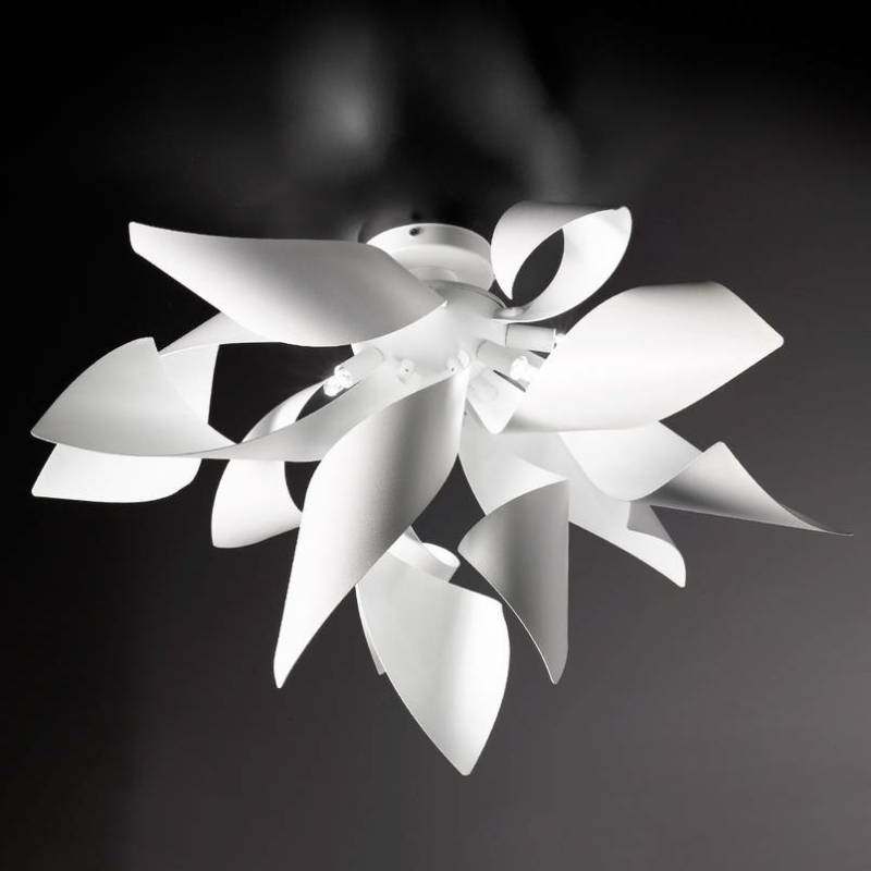 Selène Designer Deckenleuchte Ginger Deckenlampe Deckenlicht Leuchte Lampe 50 Cm B-Ware von Selène