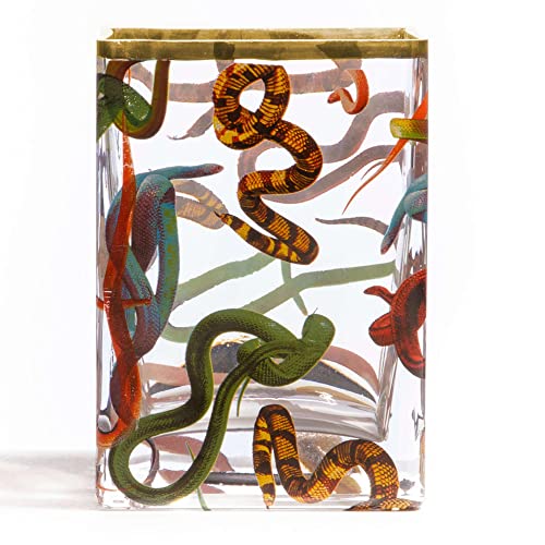 Vaso IN VETRO TOILETPAPER SELETTI cm. 10X8 H.14 Snakes Art. 14121" von Seletti