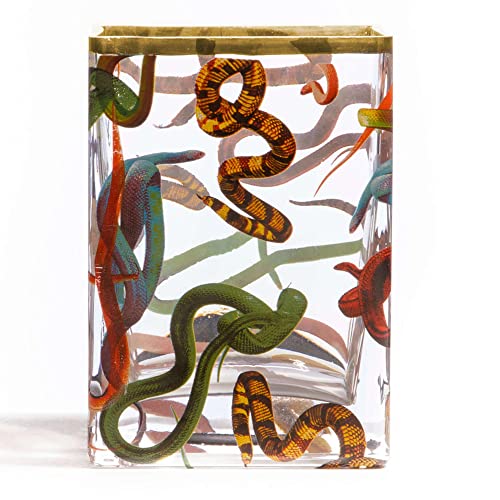 Vaso IN VETRO TOILETPAPER SELETTI cm. 10X8 H.14 Snakes Art. 14121" Vaso IN VETRO TOILETPAPER SELETTI cm. 10X8 H.14 Snakes Art. 14121" von Seletti