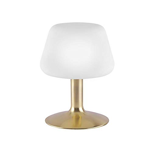 SellTec Paul Neuhaus, LED Tischleuchte, messing, klassisches Design, 3 Stufen Touchdimmer, Tischlampe Nachttischlampe, 1-flammig von SellTec