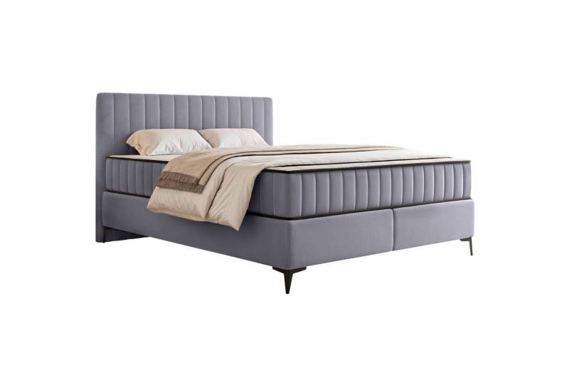 Selsey Boxbett MUFASSO, Bett mit Matratze & Bettkasten, 3 Größen, Velours, H2/H3, Kopfteil von Selsey