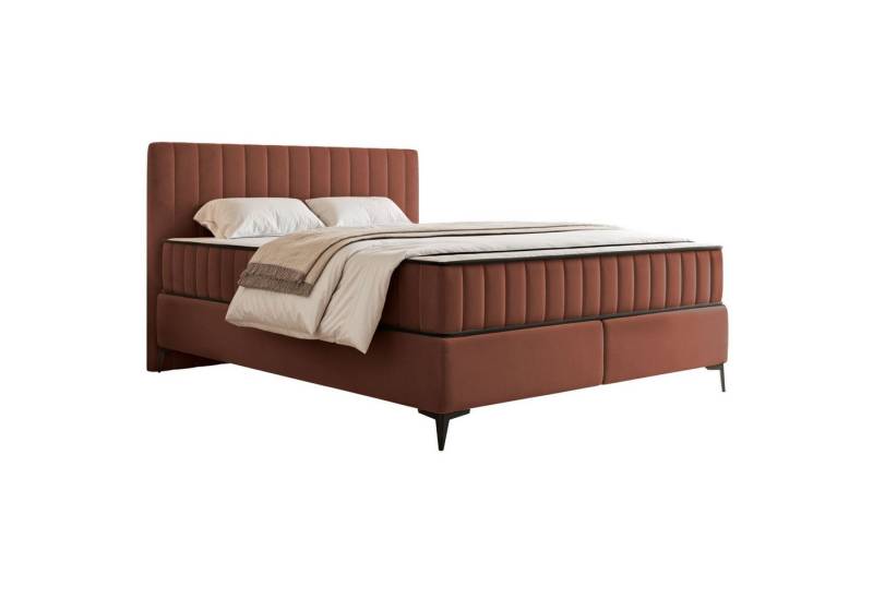 Selsey Boxbett MUFASSO, Bett mit Matratze & Bettkasten, 3 Größen, Velours, H2/H3, Kopfteil von Selsey