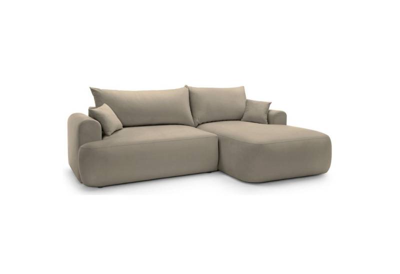 Selsey Ecksofa OVO, Schlaffunktion 142x210 cm, Bettkasten, 2 Zierkissen von Selsey