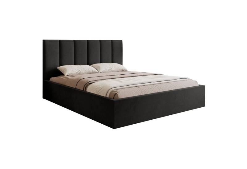 Selsey Polsterbett MASEGO, Gepolstertes Doppelbett mit Samtbezug, Betthaupt und Bettkasten von Selsey