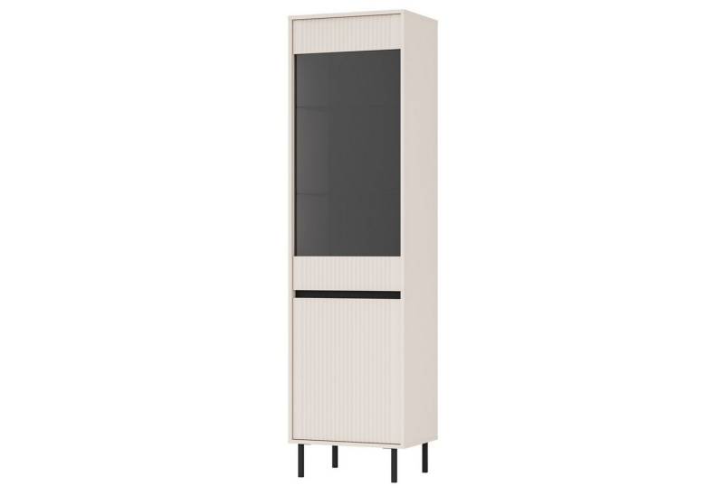 Selsey Standvitrine OSAKA 2-türig mit Glasfront, 5 Fächern und Metallbeinen, 56 cm von Selsey