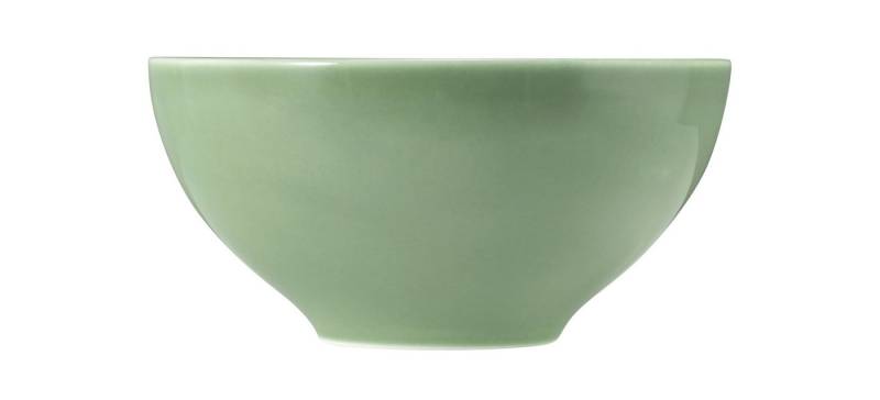 Seltmann Weiden Werkzeugbox Seltmann Weiden Beat Salbeigrün Schüssel 15,5cm (1 Schüssel) von Seltmann Weiden