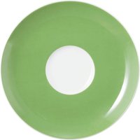 Seltmann Weiden Untertasse "Liberty - Meadow Grasses green" Kombi-Untertasse groß 16,5 cm von Seltmann Weiden