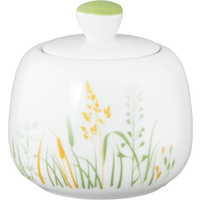 Seltmann Liberty Zuckerdose 0,26 l grün Seltmann Liberty Zuckerdose 0,26 l grün von Seltmann