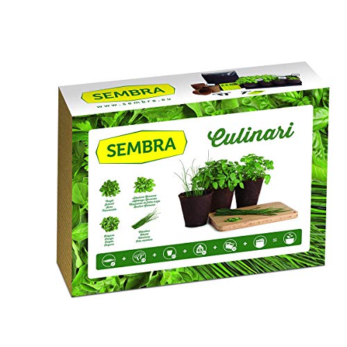 Sembra - Anzucht - Culinari von Sembra