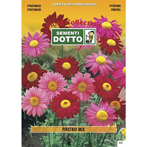 Pyrethrum (Pyrethrum roseum) mix - 0.45gr von Sementi Dotto