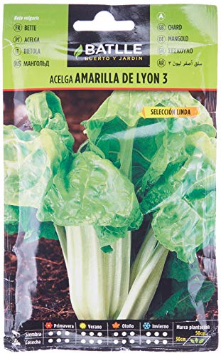 Batlle Gemüsesamen - Gelber Mangold Lyon Linda 3 (600 Samen) von Semillas Batlle