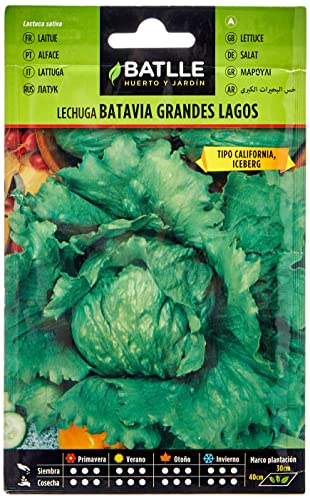 Batlle Gemüsesamen - Kopfsalat Grandes Lagos (4800 Samen) von Semillas Batlle
