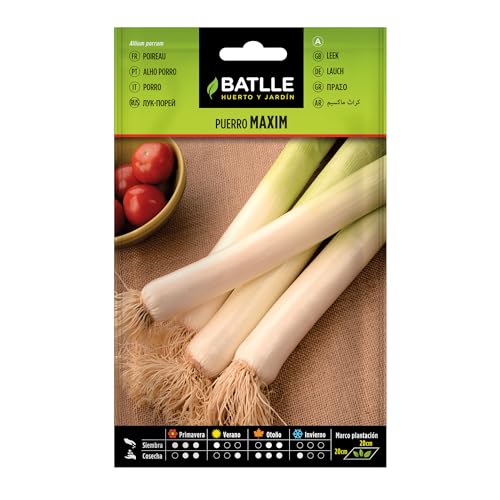 Batlle Gemüsesamen - Porree Maxim (800 Samen) von Semillas Batlle