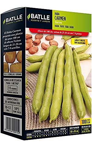 Batlle Gemüsesamen - Puffbohne Carmen (100g) von Semillas Batlle