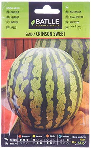 Batlle Gemüsesamen - Wassermelone Crimson sweet (160 Samen) von Semillas Batlle