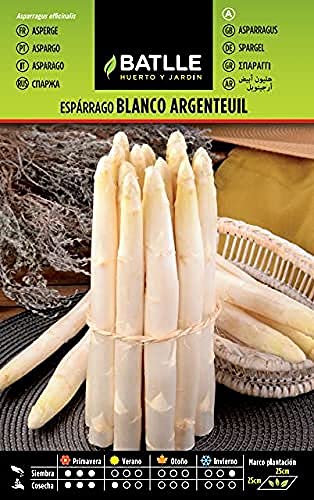 Batlle Gemüsesamen - Weisser Spargel Argenteuil (120-180 Samen) von Semillas Batlle