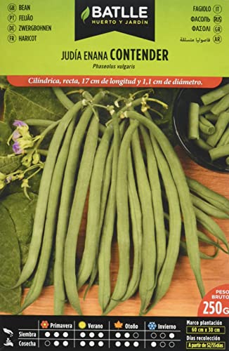 Semillas Batlle Judia Container von Semillas Batlle