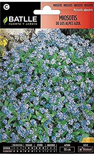 Blumensamen - Myosote der Blauen Alpen - Batlle von Semillas Batlle