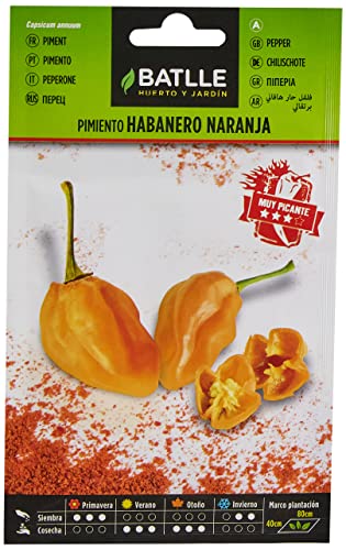 Semillas Batlle Pfeffer Habanero Orange von Semillas Batlle