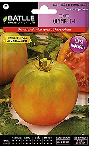 Samillas Batlle F-1 Tomate Tomate Olympe Hybrid F-1 von Semillas Batlle