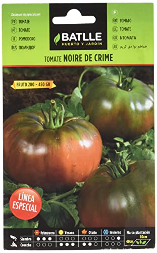 Semillas Batlle Línea Especial Tomatensamen Tomate Noire de Crime von Semillas Batlle