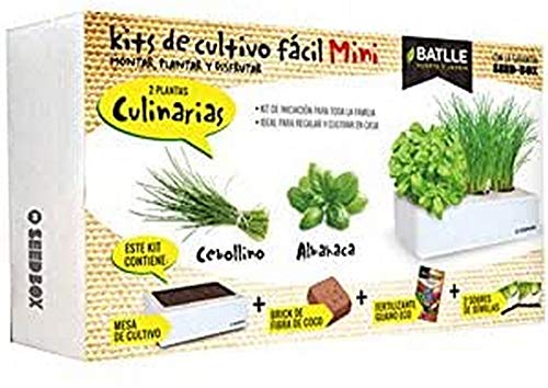Semillas Batlle Productos Jardineria Seed Box Mini Culinarias, 160113UNID von Semillas Batlle