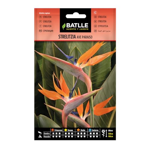 Semillas Batlle Strelitzia Vogel Paradies von Semillas Batlle