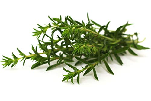 Semisauvage 300 Sarriette Samen - Arzneimittel Aromatisch Pflanze - Reproducible Bauer Samen Semisauvage 300 Sarriette Samen - Arzneimittel Aromatisch Pflanze - Reproducible Bauer Samen von Semisauvage Permaculture