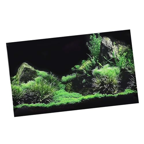 Lebendiger Aquarium Hintergrundaufkleber mit Wassergrasdesign für Fischtankdekoration | Qualitätssicherer PVC -Aufkleber | 61 X 30 Cm Selbstklebende Aquariumdekoration (76 * 46cm) von Semme