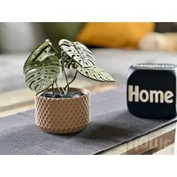 Schale Mit Monstera-Muster Und Naturnahem Deckel, Inklusive 6 Stück Abnehmbaren Blatt Untersetzer Für Gläser von SempacherWerkstatt