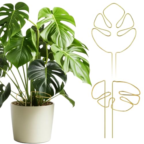 2 Stück Pflanzenstütze Gold Pflanzen Stütze mit Einzigartigem Blattdesign für Plant Scaffold Halterung Kreativ Metall Topfpflanze und Pflanzer Befestigungsstangen Dekorativ 2 Stück Pflanzenstütze Gold Pflanzen Stütze mit Einzigartigem Blattdesign für Plant Scaffold Halterung Kreativ Metall Topfpflanze und Pflanzer Befestigungsstangen Dekorativ von Senchinner