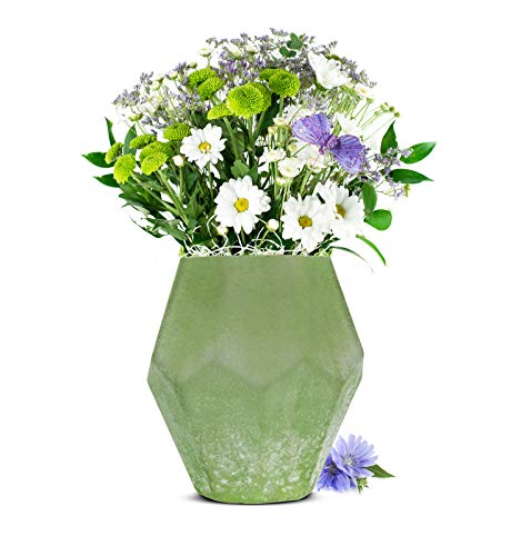 Blumenvase 'Heidi' Vase Tischvase Glasvase Dekovase Blumentopf Pflanztopf (Grün) von Sendez
