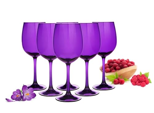 Sendez 6 Weingläser 300ml im 6er-Pack Lila Rotweingläser Weißweingläser Gläser von Sendez