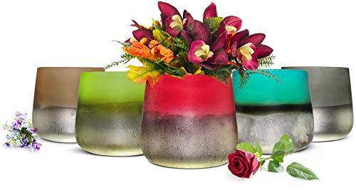 Sendez Blumenvase Barbara Tischvase Glasvase Dekovase Vase Blumentopf Pflanztopf (Rot) von Sendez