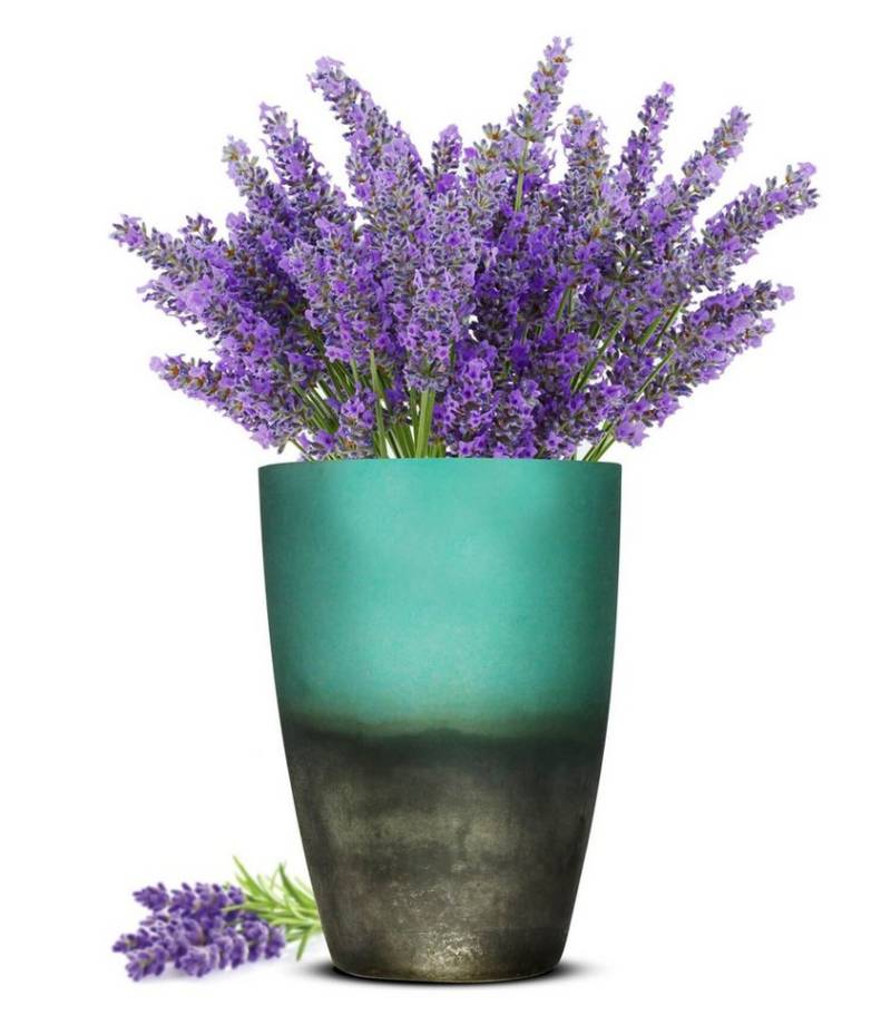 Sendez Dekovase Blumenvase Oxi Tischvase Glasvase Vase Blumentopf Pflanztopf von Sendez