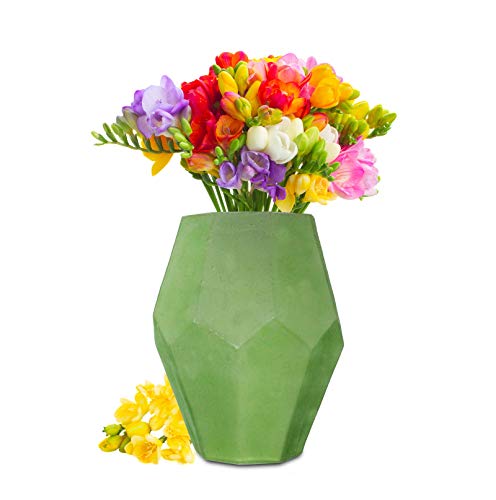 Sendez XXL Blumenvase 4,8 L Sofia Vase Tischvase Glasvase Dekovase Blumentopf Pflanztopf (Grün) von Sendez